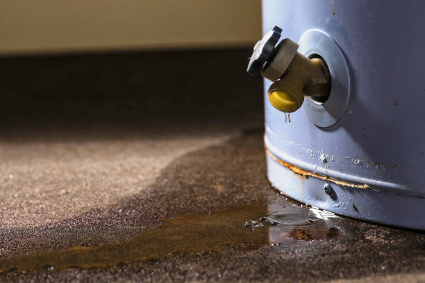 Best Commercial water damage restoration  in Ilion, NY