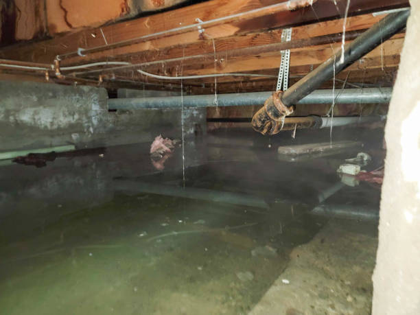 Best Emergency water damage restoration  in Ilion, NY