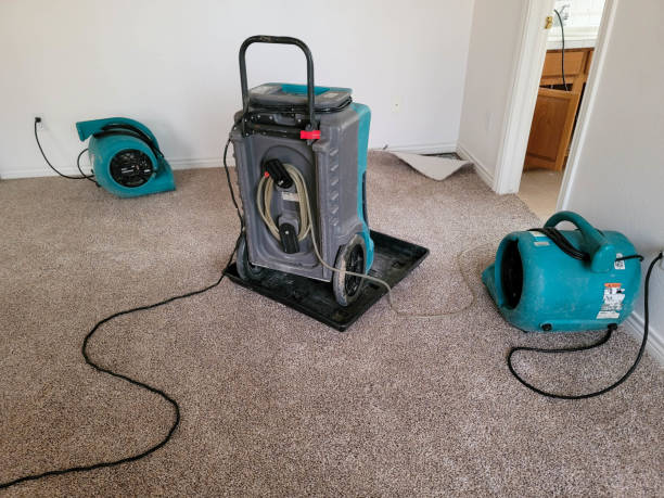 Best 24-hour water damage restoration  in Ilion, NY