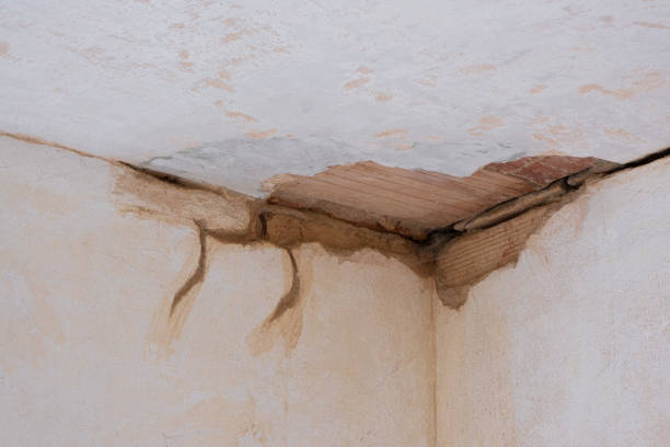 Best Water damage restoration near me  in Ilion, NY