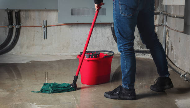 Best Water damage restoration near me  in Ilion, NY