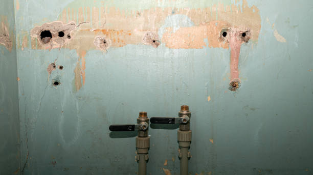 Best Fire Damage Restoration  in Ilion, NY