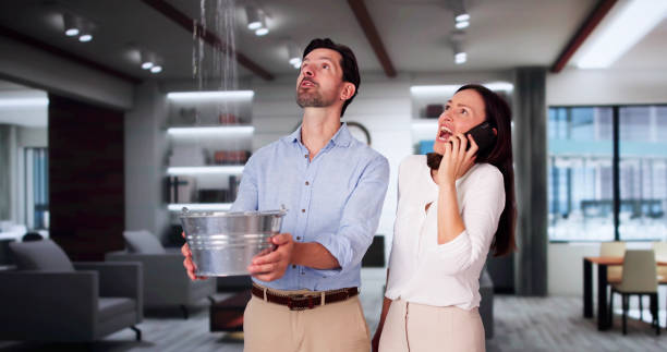 Best Sewage cleanup and water damage restoration  in Ilion, NY